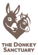 Tds Logo