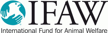 Logo Ifaw