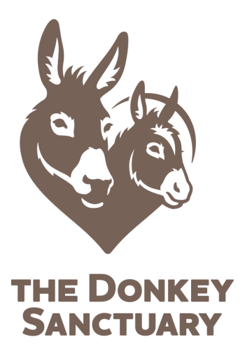 Tds Logo