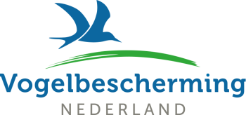 Vbn Logo Rgb