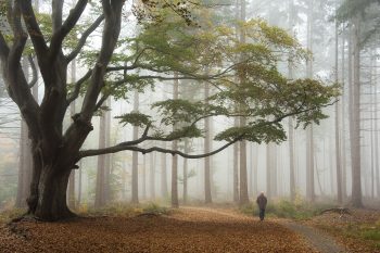 © Natuurmonumenten Piet Haaksma Namo84194